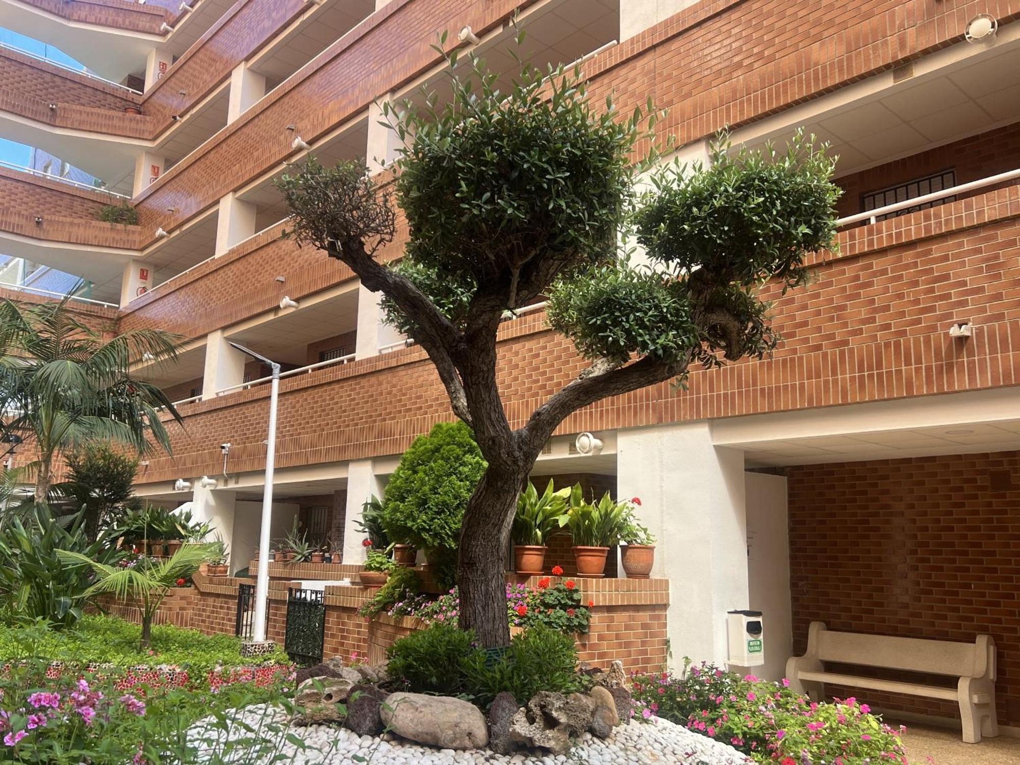Apartamentos Marina Park โอโรเปซาเดลมาร์ ภายนอก รูปภาพ